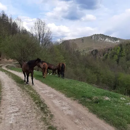Vikendica Sehic *